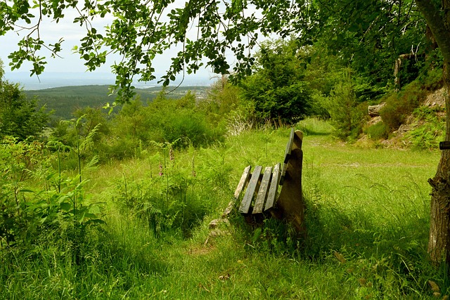 陷入了一种 陷入了一种