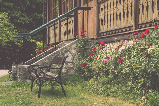 奇在两支球 奇在两支球