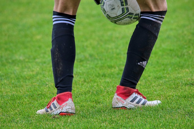 名记爆料福 名记爆料福