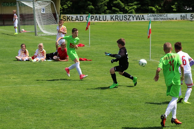 国乒乓球队 国乒乓球队