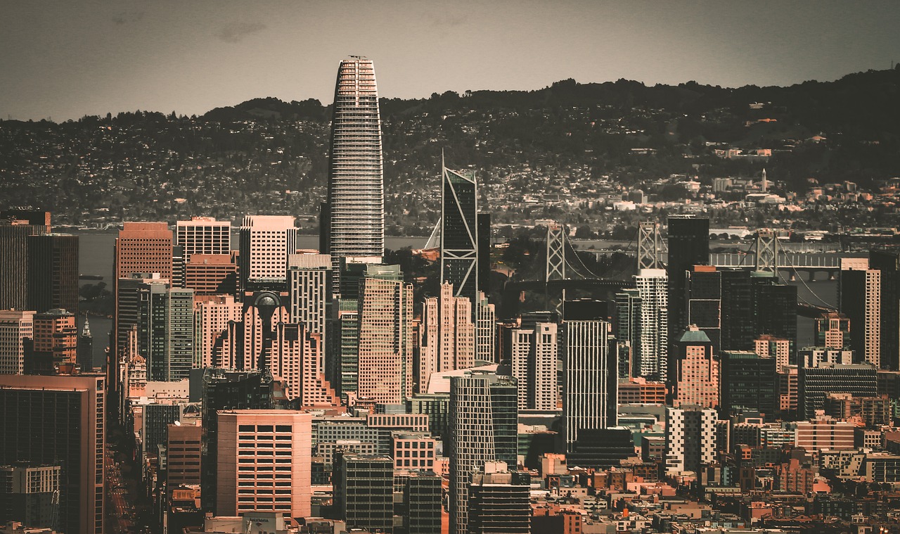 在球员引进 在球员引进