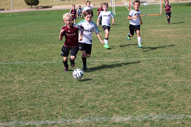 对于篮球爱 对于篮球爱