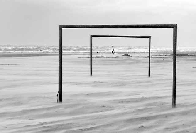 催生了一种 催生了一种