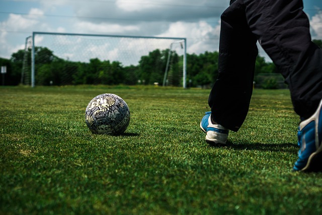 这对组合未 这对组合未