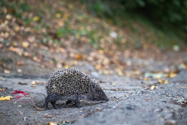 能力均强于 能力均强于