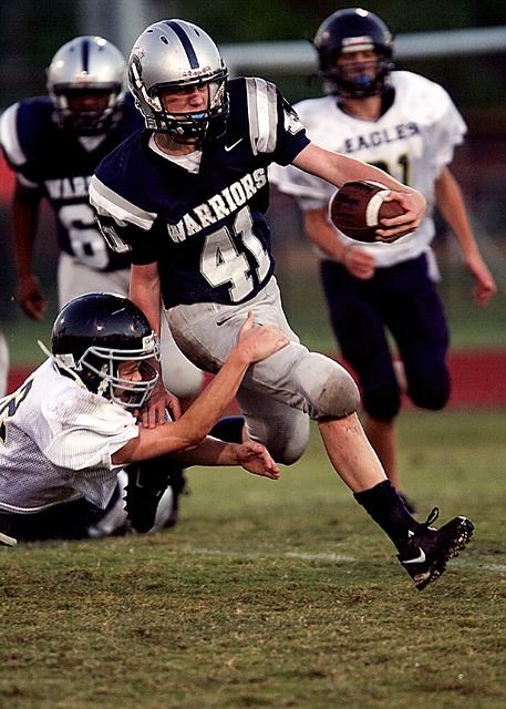 无疑是本届 无疑是本届